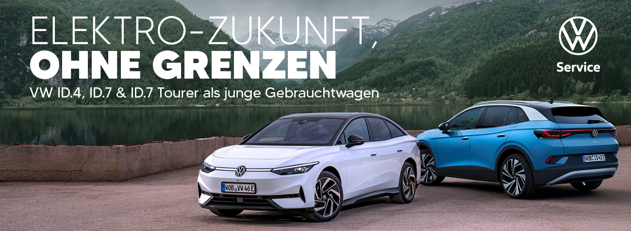 Junge gebrauchte ID.s